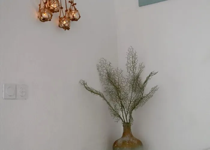 Duplex De Charme En Bord De *